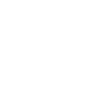 contable economico Perez Domingo